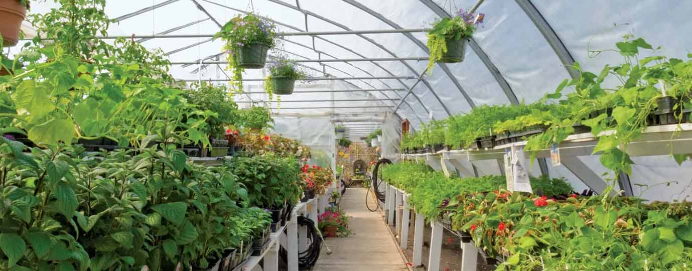  EuroTier Hannover 202 - 10 to 13 November 2026 Expo Stand Services 