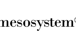 Mesosystem